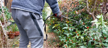 不適切な駆除のリスク