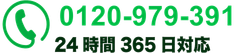 0120-979-391